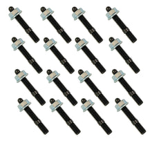 Load image into Gallery viewer, User 1