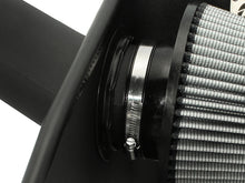 Load image into Gallery viewer, Photo - Close Up