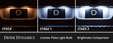 Load image into Gallery viewer, User 2