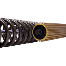 Load image into Gallery viewer, Photo - Unmounted