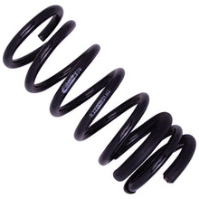 Load image into Gallery viewer, Photo - Close Up