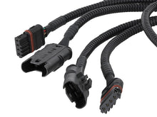 Load image into Gallery viewer, Photo - Unmounted