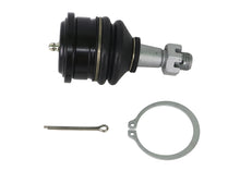 Load image into Gallery viewer, Photo - Close Up