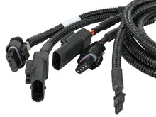 Load image into Gallery viewer, Photo - Close Up