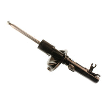 Load image into Gallery viewer, Photo - Primary