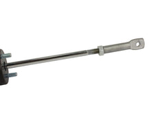 Load image into Gallery viewer, Photo - Unmounted