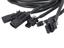 Load image into Gallery viewer, Photo - Unmounted