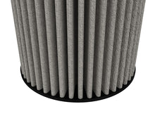 Load image into Gallery viewer, Photo - Close Up