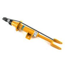 Load image into Gallery viewer, User 1