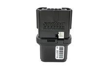 Load image into Gallery viewer, Photo - Unmounted