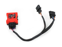 Load image into Gallery viewer, Photo - Unmounted