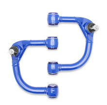 Load image into Gallery viewer, Photo - Unmounted