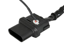 Load image into Gallery viewer, Photo - Unmounted