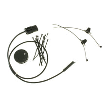 Load image into Gallery viewer, Photo - Unmounted