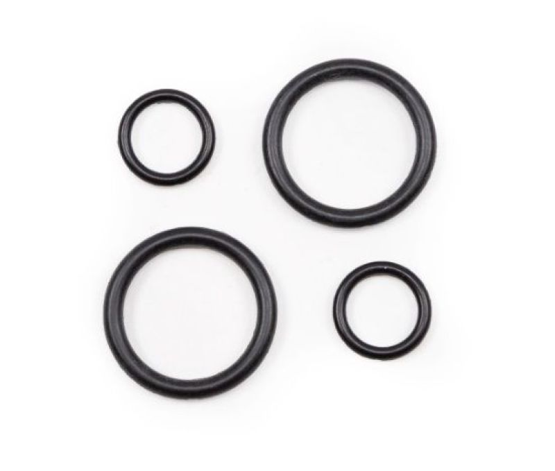 Killer B O-Ring Seal Kit (070-110 / 050 / PPBC / EJ25PAN Replacements)